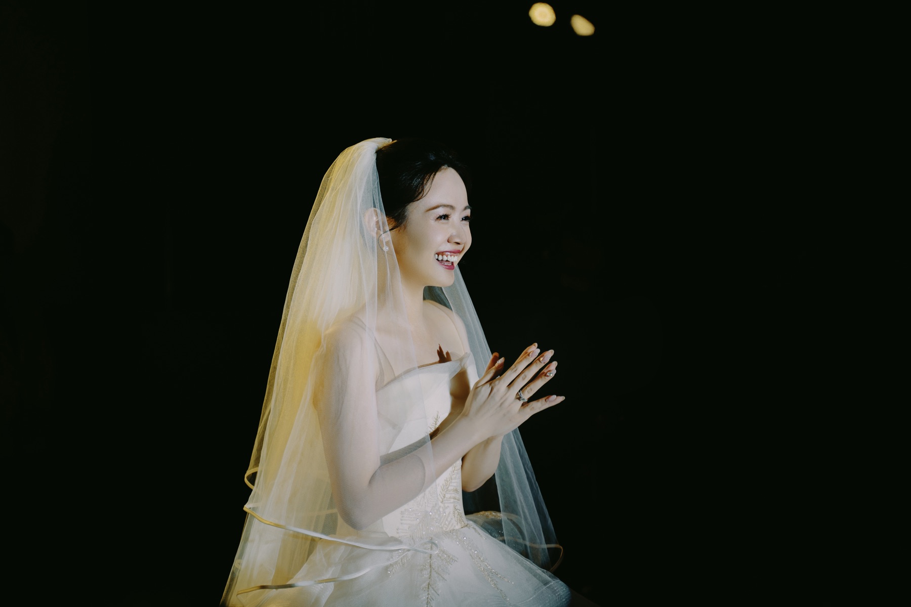黑暗里的新娘,叶明星作品